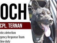 The Police Dogs of British Columbia –&nbsp;Hooch