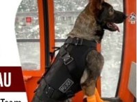 Top Police Dog –&nbsp;Nina!